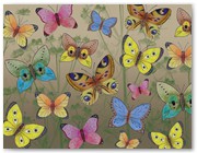 256  |  Butterflies