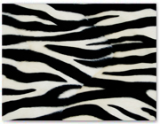433  |  Zebra